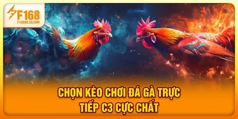 Chọn kèo chơi đá gà trực tiếp C3 cực chất