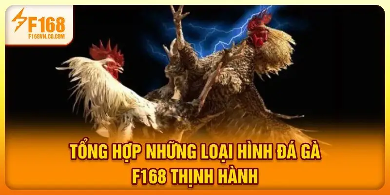 Tổng hợp những loại hình đá gà F168 thịnh hành